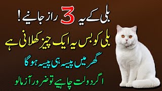 Ghar Mein Billi Nazar Ajaye Tou  Foran Ye Kam Liya Karo  How Is A Cat Reared In House [upl. by Alohcin]