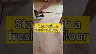 Flooring Remodel Subfloor underneath your flooring [upl. by Jar]