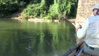 Broad River Smallmouth Promo [upl. by Isayg]