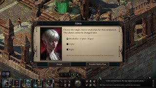 Pillars of Eternity II Deadfire Blind 4  Neketaka Part 2 [upl. by Annawik]