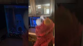 elmo world sesame street kids [upl. by Pinette633]