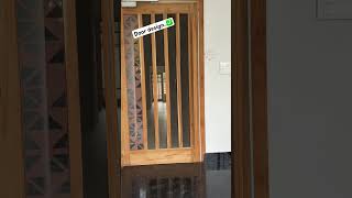 Door design✅door trending ytshorts woodworking [upl. by Eatnad]