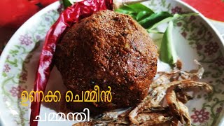 ഉണക്കച്ചെമ്മീൻ പച്ച മാങ്ങ ചമ്മന്തി😋unakka chemmeen chammanthi [upl. by Ellehcsar]