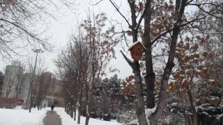 Winter in Hacettepe University [upl. by Nannah]