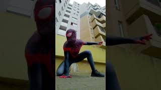 Who’s your favorite SpiderMan spiderman [upl. by Obocaj]