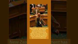 Insults and a haka in New Zealand parliament as MPs debate Māori rights bill [upl. by Htilil]