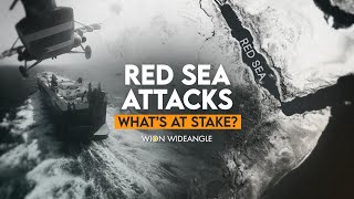 Red Sea attacks Whats at stake  WION Wideangle [upl. by Yahsat98]