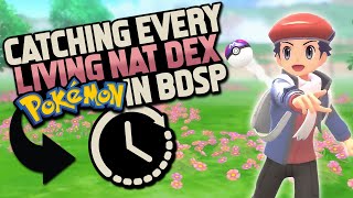 HOW EASILY CAN YOU COMPLETE A LIVING NATIONAL DEX IN POKEMON BRILLIANT DIAMONDSHINING PEARL [upl. by Nickolai]