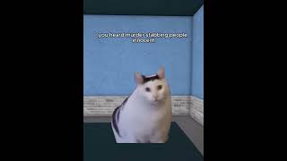 Murder mystery 2 edition cat roblox memes mm2 [upl. by Neerak]