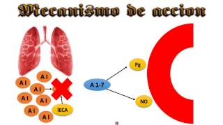 Antihipertensivos IECA [upl. by Sweatt]