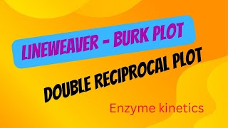 Lineweaver Burk Plot Enzyme Kinetics  Double Reciprocal Plot  Enzyme Kinetics  Vmax Km ampS [upl. by Edmead290]