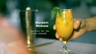 How to make the best Mandarin and Tarragon Cocktail [upl. by Luaped272]