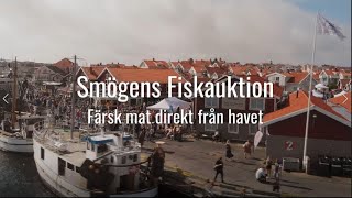 Smögens Fiskauktion Trailer 37 sekunder [upl. by Berkly]