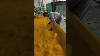 How to do Powder coating process powdercoated process shorts ytshorts factory specialcoatings [upl. by Adolphus]