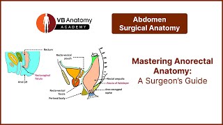 Mastering Anorectal Anatomy A Surgeon’s Guide [upl. by Ellerrehs]