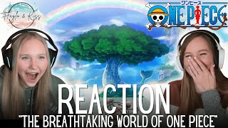 The Breathtaking World Of  ONE PIECE  Reaction 💕 [upl. by Jurdi]