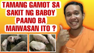 ANOANO ANG MGA SAKIT NG BABOY  MABISANG GAMOT  NEGOSYONG BABOY  Vlog  6 [upl. by Sadowski]