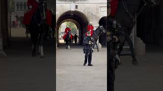 Best horsesroyalhorseguard horse tourist london viralvideo royalguards shorts [upl. by Danieu]