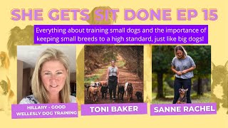 Everything you need to know about training small dogs with Good Wellesly Dog Training SGSD EP 15 [upl. by Jestude234]