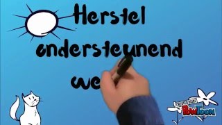 Herstelondersteuning deel 1 [upl. by Bremble]