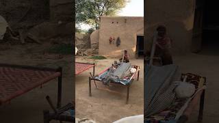 Village life in Punjab Pakistan desi life style villagelifeshortsshortsfeedviralshortbhaikvlogs [upl. by Atenahs806]