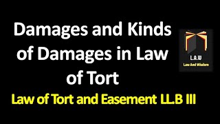 Damages and Kinds of Damages  Law of Torts and Easement [upl. by Juieta]