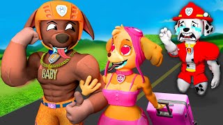 Paw Patrol The Mighty Movie ► Skye Dumps Marshall for the Muscle Guy 💔 [upl. by Anaujit]