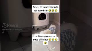 🤣🤣🤣 não clique no arroba Programacarlosouza Carlossouzamusic7 Carlossouzaator [upl. by Sabino]