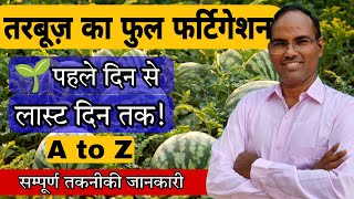 Watermelon farming fertigation  कोनसी खाद कब और कैसे दे start to end full fertigation schedule [upl. by Magnusson748]