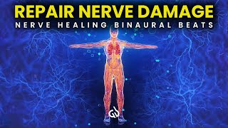 Repair Nerve Damage Binaural Beats for Nerve Regeneration Nerve Healing Frequency [upl. by Hortense]