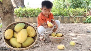 Yummy ripe mango recipe  Countryside boy learn to cook from his mother [upl. by Yecad]