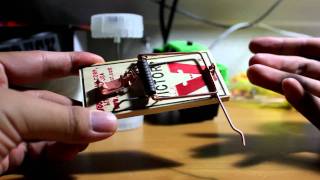 Building a Mousetrap Car Part 2 of 4 [upl. by Coad]