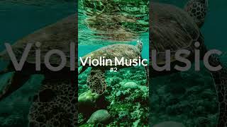 Violin Concerto in D major Op 612 shorts Classicmusic FocusMusic workbgm studymusic [upl. by Obau705]