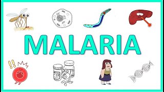 Malaria  Causes Pathogenesis Signs and Symptoms Diagnosis Treatment and Prevention [upl. by Emmott]