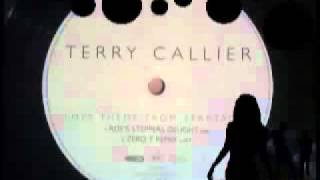 Terry Callier  Love Theme From Spartacus [upl. by Eilyac]