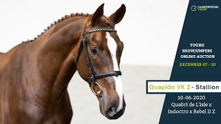 Quapido VK Z  Young Showjumpers Online Auction  Paardenveilingonlinecom [upl. by Clayborn]