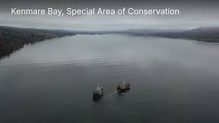 Unsustainable Pair Trawling in Kenmare Bay Ireland [upl. by Eseekram]