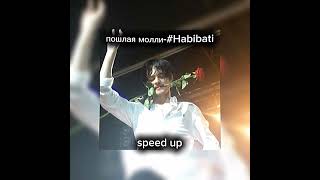 Habibatiпошлая Молли speed uplakv1xsong speed up [upl. by Finny]