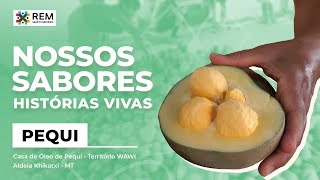 VIDEO COMPLETO WEBSÉRIE NOSSOS SABORES  EP Pequi PT [upl. by Anidualc]