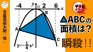 座標平面上の三角形の面積 文星芸術大附（改） [upl. by Elleinwad974]