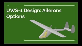 UWS 1 Design Ailerons [upl. by Akirdnwahs]