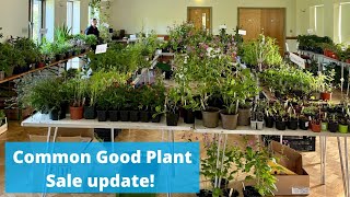 Common Good plant sales are go Here’s how ours in Charlton Musgrove went x [upl. by Jandel]