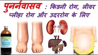 Punarnavasava Ayurved Medicine benefits [upl. by Juan84]