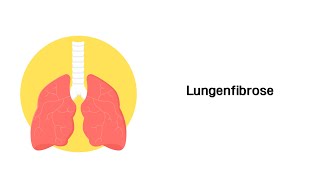 Lungenfibrose  Erkrankungen der Atemwege [upl. by Dustan]