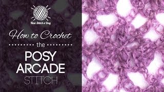 How to Crochet the Posy Arcade Stitch [upl. by Kenny]