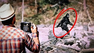 The Patterson–Gimlin Bigfoot film What most likely happened [upl. by Idelle]