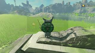 Korok seeds  Moor Garrison Ruins  Lanayru Tower 11  Zelda BOTW [upl. by Gish180]