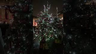 London Christmas Lights and Trees Oxford Street  Regent Street  Neal Street  Covent Garden [upl. by Icyaj497]