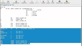 Tutorial 1  Installation  configuration dun Serveur DNS sous LINUX  FEDORA 8 [upl. by Sabba]