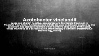 Medical vocabulary What does Azotobacter vinelandii mean [upl. by Glover53]